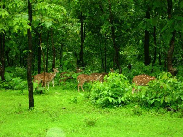 Dadra and Nagar Haveli 