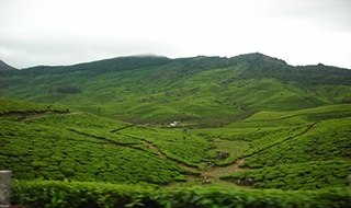 Kodaikanal