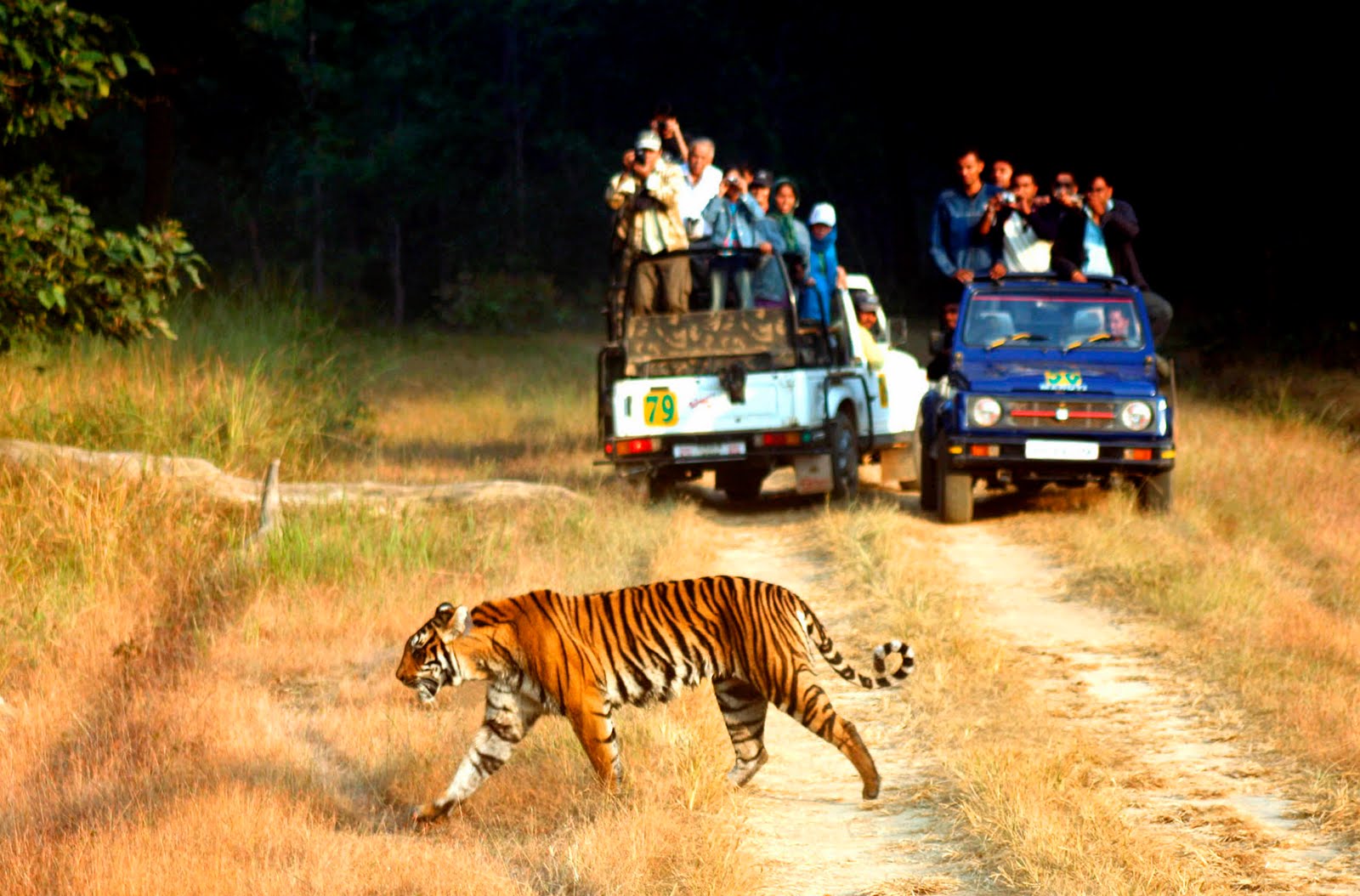 Corbett National Park