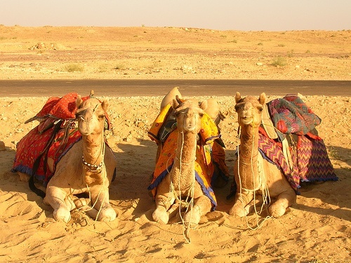 Jaisalmer
