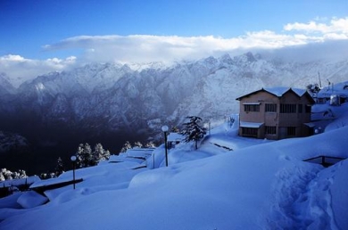 Auli 