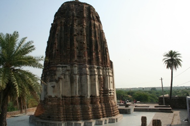 Ranthambore