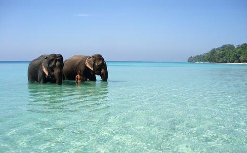 Port blair