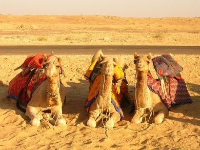  4 Nights Tamil Nadu