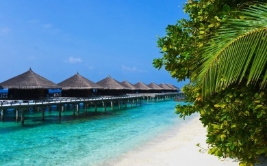  4 Nights Tamil Nadu