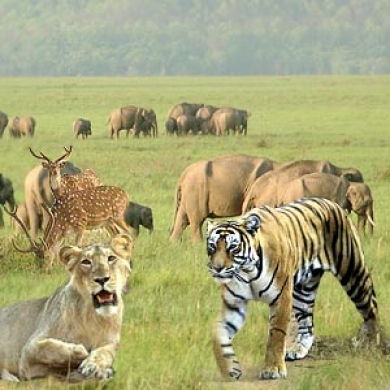  4 Nights Tamil Nadu