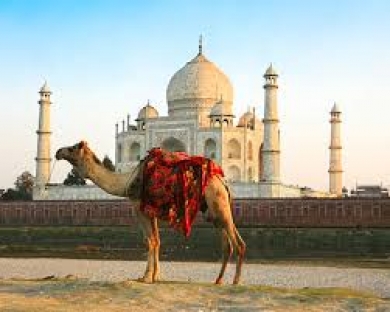  4 Nights Tamil Nadu