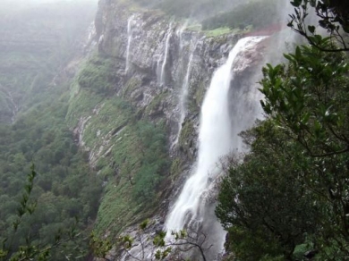  4 Nights Tamil Nadu