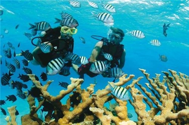  4 Nights Tamil Nadu
