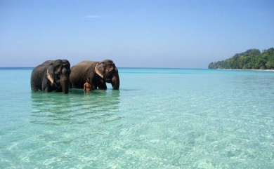  4 Nights Tamil Nadu