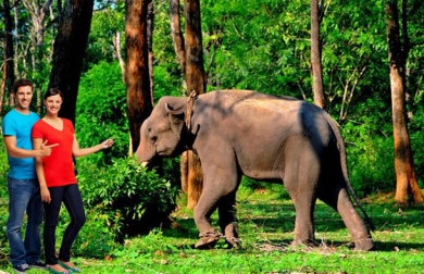  4 Nights Tamil Nadu